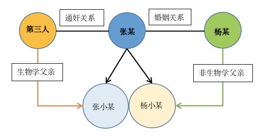 离婚后发现子女非亲生，可以主张赔偿哪些费用？
